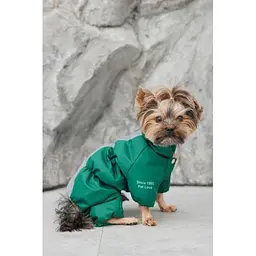 Комбінезон Pet Fashion EGO ХS2 зелений для собак - мініатюра 6