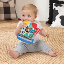 Іграшка-книжка м'яка розвиваюча Baby Einstein Shapes at the Farm - мініатюра 9