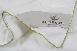 Ковдра Penelope - Bamboo New 220x240 King size - мініатюра 4