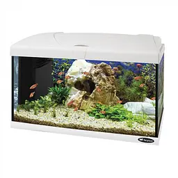 Акваріум Ferplast CAPRI 60 WHITE - 60 L 60 x 31.5 x h 39.5 cm