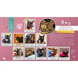 Ключ активації Microsoft Sudocats для Xbox One/Series S/X - мініатюра 8