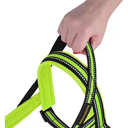 Шлея для собак BronzeDog Mesh Скандинавська, розмір S, 30х32-38 см, лимонна - мініатюра 2
