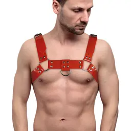 Чоловіча портупея на груди Feral Feelings - Bulldog Harness Red - мініатюра 1