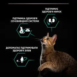 Сухий корм для стерилізованих котів Purina Pro Plan Sterilised Adult 1+ Renal Plus з індичкою 1.5 кг (12369074) - мініатюра 4