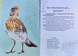 Вусохвості й лапокрилі. Читанка про звірят (Найкращий подарунок) А4ф. - мініатюра 5