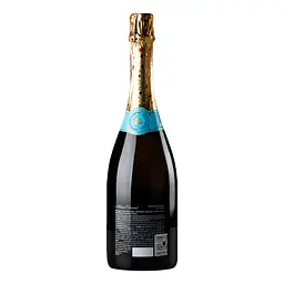 Вино ігристе Shabo Semi-Dry, 10,5-13,5%, 0,75 л (556532) - мініатюра 4