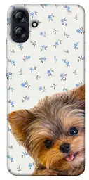 TPU чохол Demsky Cute Yorkie для Samsung Galaxy A04e