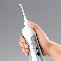 Іригатор Panasonic EW1411H321 - мініатюра 6