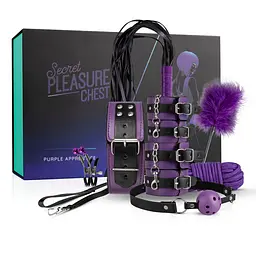 Набір БДСМ Secret Pleasure ChestPurple Apprentice