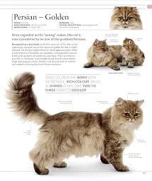 The Cat Encyclopedia - мініатюра 17