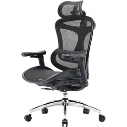 Крісло офісне Sihoo Doro C300L Mesh Black (DORO-C300L-A3-101) - мініатюра 3