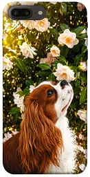 TPU чохол Demsky Flower spaniel для Apple iPhone 7 plus / 8 plus (5.5")