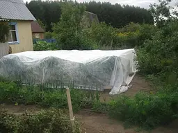 Агроволокно для полуниці біле покривний матеріал спанбонд від бур'янів для городу 23 г/м2 3.2х10 м - мініатюра 4