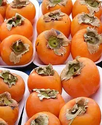 Саджанець Agro-Market Хурма на віргінській морозостійкій підщепі Хеакума вищий сорт! (44808) 1 шт. в упаковці - мініатюра 6
