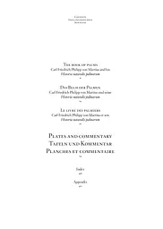 The Book of Palms - мініатюра 2
