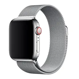 Ремінець Milanese Loop Magnetic Band для Apple Watch 42/44/45/46mm Silver [17340]