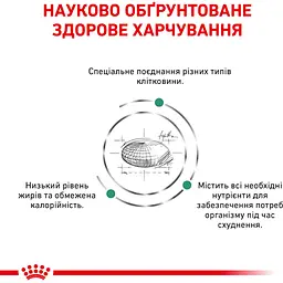 Сухий корм Royal Canin Satiety Weight Management для дорослих котів з надмірною вагою 0.4 кг - мініатюра 4