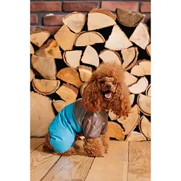 Комбінезон для собак Pet Fashion Сharlie S блакитний - мініатюра 5