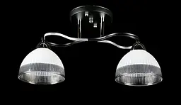 Люстра стельова Splendid Ray L8258/2, 2xE27, чорний/хром, висота 23 см, діаметр 45 см, сучасний стиль для дому