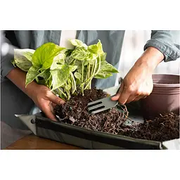 Набір інструментів Fiskars Plant Care для догляду за ґрунтом 3 предмети (1080777) - мініатюра 3