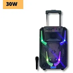 Портативна колонка XPRO GZ-8912 валіза 30Вт USB SD FM радіо Bluetooth 1 мікрофон ДУ (MER-15720) - мініатюра 2
