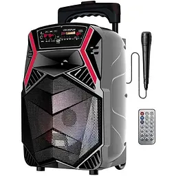 Акустична система XPRO 895 з мікрофоном (MER-15704_2772) - мініатюра 3