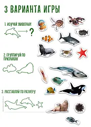 Магнітний набір Magdum Морські мешканці (ML4031-28 EN) - мініатюра 3
