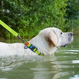 Нашийник для собак водостійкий Waudog Waterproof з QR-паспортом пластикова пряжка-фастекс Ш 25 мм Д 38-58 см салатовий - мініатюра 5