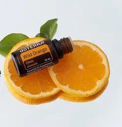 Ефірна олія дикого апельсину DoTERRA Wild Orange, 15 мл - мініатюра 2