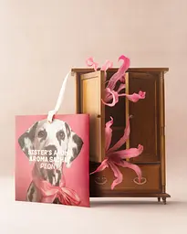 Ароматичне саше Sister’s Aroma Peony - мініатюра 5