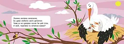 Книга Кишенькова абетка: Швидкомовки про тварин Ранок G1631009У Різнокольоровий shop (9789667617349) - мініатюра 4