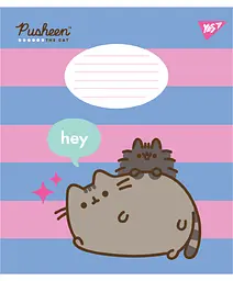 Набір зошитів шкільних YES А5/12 лінія Pusheen The Cat 25 шт (767613) - мініатюра 4