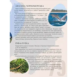 Енциклопедія для допитливих Талант Перлини природи України - Станкевич Т.О. (9789669890764) - мініатюра 5