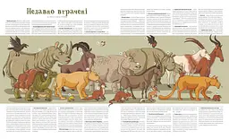 Атлас зниклих тварин / Ніколь Кухарська - мініатюра 9