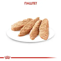 Вологий корм для кошенят Royal Canin Kitten Loaf паштет 85 г - мініатюра 6