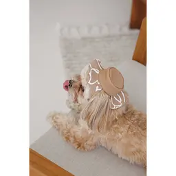 Панама Pet Fashion Print для собак М - мініатюра 4