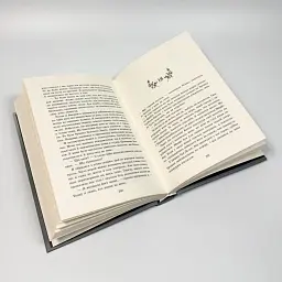 Примарне правління - Кастен Мона | Readberry, книга українською, нова, тверда - мініатюра 3
