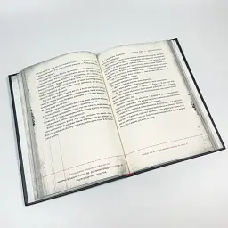 Злі книжки: Зла книжка — Міст Магнус - мініатюра 3