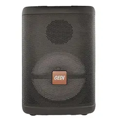 Колонка Big Gedi 892 bluetooth + мікрофон (248х210х386) USB/MP3/FM/BT/TWS black