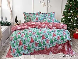 Комплект постільної білизни з компаньйоном (R-T9130) Євро TAG tekstil pbe0036893 - мініатюра 1
