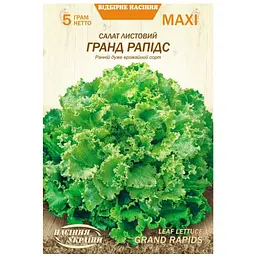Салат Листовий Гранд Рапідс Насіння України Maxi 5 г