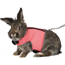 Шлейка з повідцем Trixie Soft для великого кролика, нейлон, XL: 25-40 см (кольори в асортименті) - мініатюра 8
