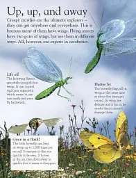 Bugs - мініатюра 4