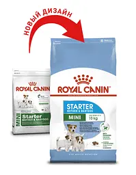 Сухий корм Royal Canin Mini Starter Mother & Babydog для цуценят дрібних порід, з м'ясом птиці і рисом, 3 кг - мініатюра 2