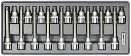 Набір головок зі вставкою Whirlpower 1/2" 20-60 мм (18 шт)