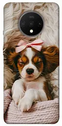 TPU чохол Demsky Sleepy spaniel для OnePlus 7T