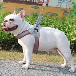 Шлея для собак Derby Duomm Pet harness FH106, XL Червоний - мініатюра 3