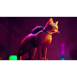 Гра Stray для PS5 (EN + RU sub) [78359] - мініатюра 8