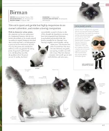 The Cat Encyclopedia - мініатюра 19