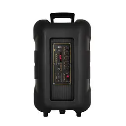 Портативна акустична колонка RX-1228 з мікрофоном та пультом - мініатюра 6